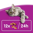 Whiskas Anti Hairball image number null